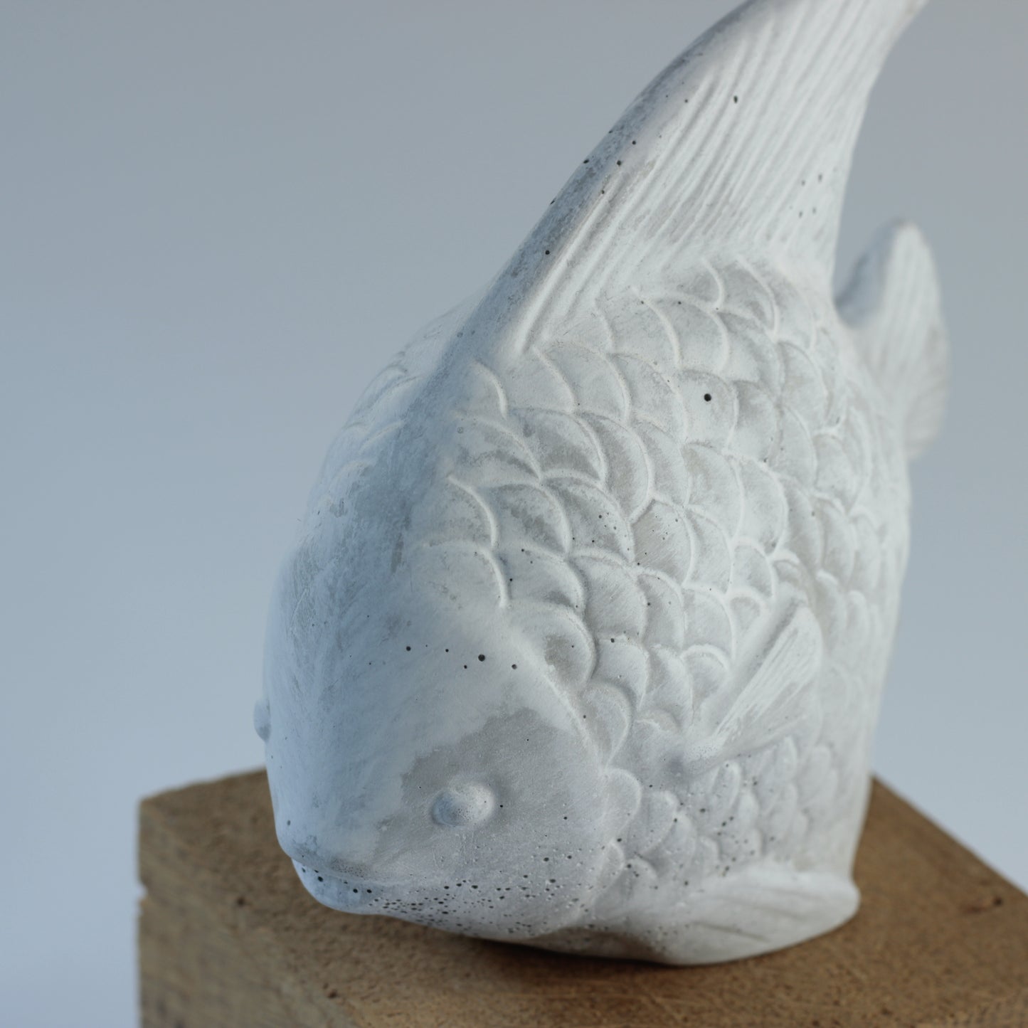 Le poisson tropicale PISCIS en béton, fabrication artisanale