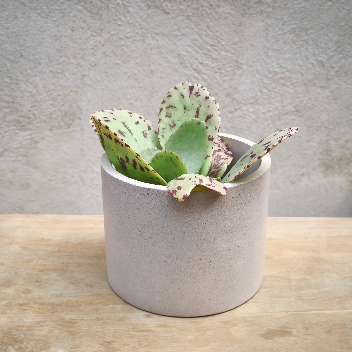 Le pot en béton TERRA, artisanat français