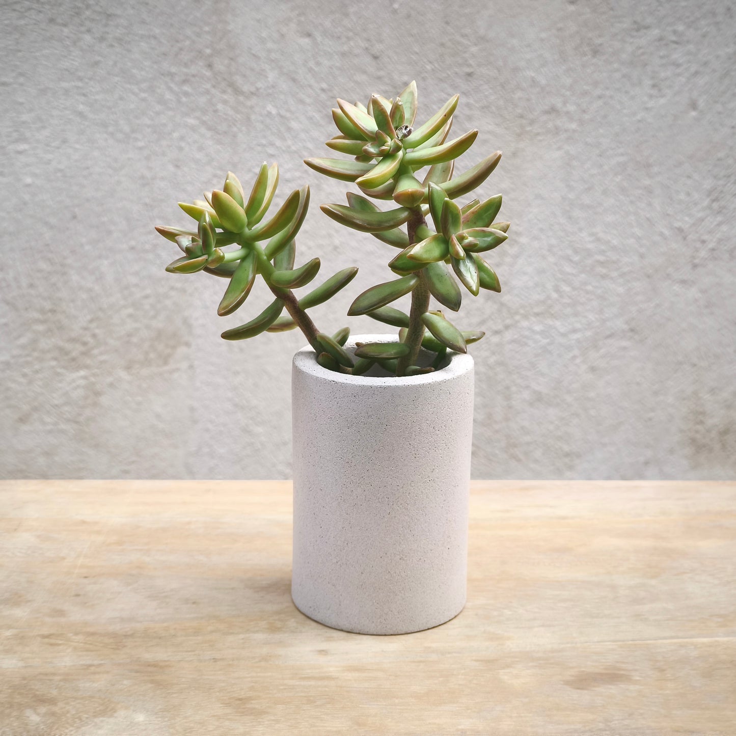 Le pot en béton CANOPEE, artisanat français