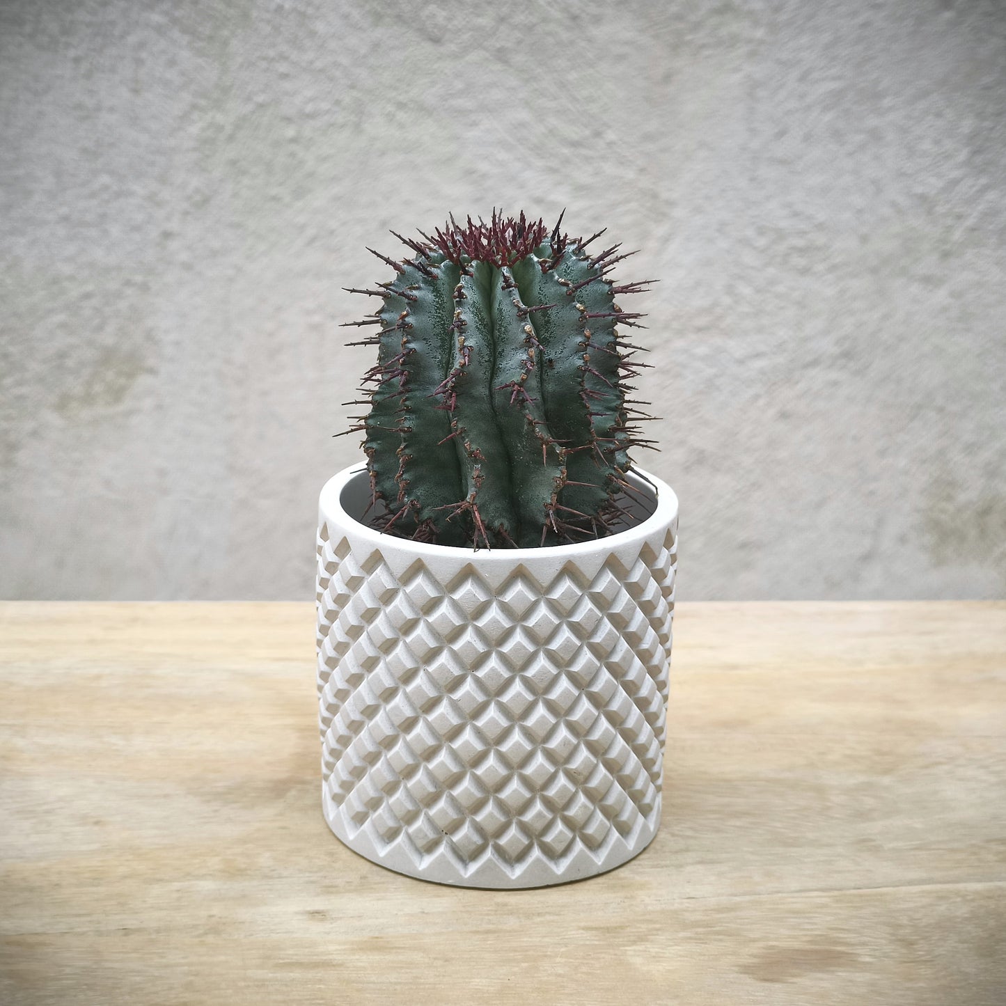 Le pot en béton CONCRETE², artisanat français