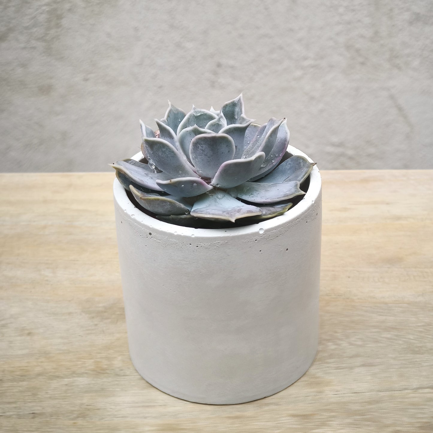 Le pot en béton CONCRETE, artisanat français