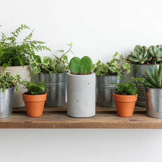 Le pot en béton CANOPEE, artisanat français