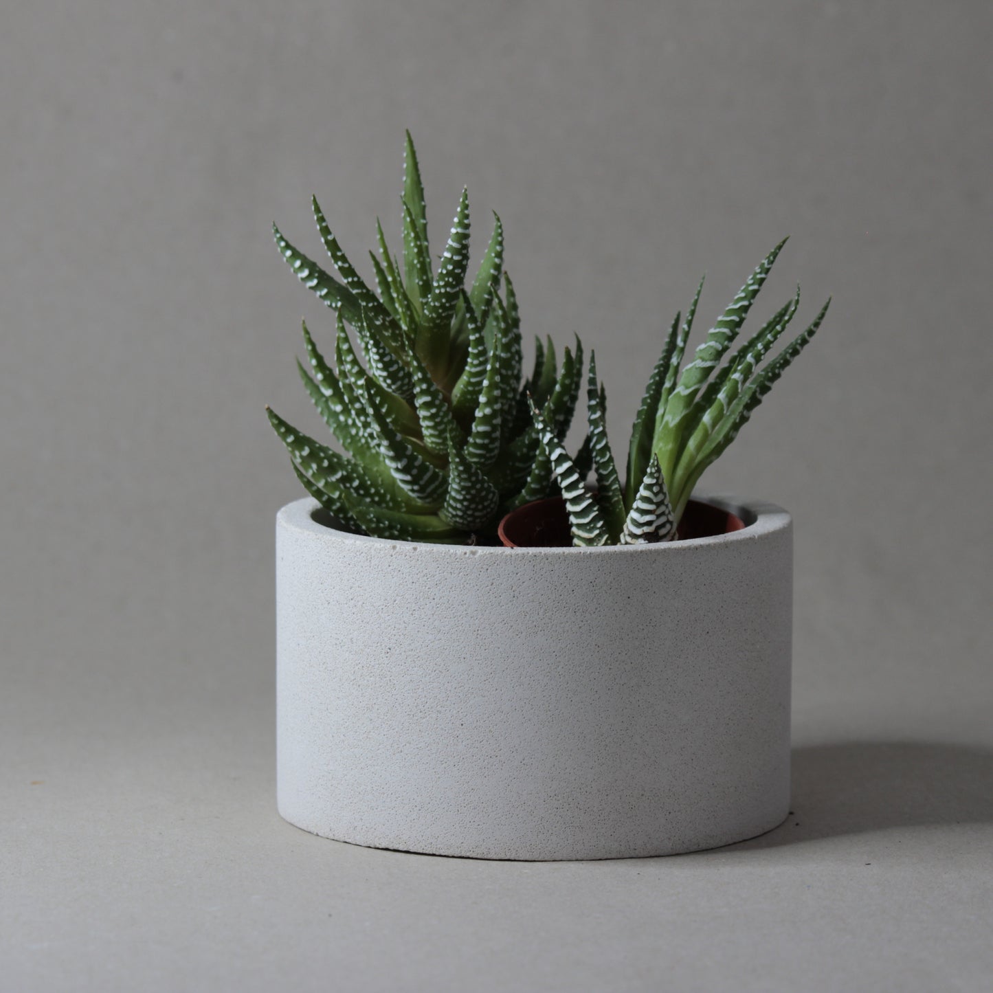 Le pot en béton COTTA, artisanat français