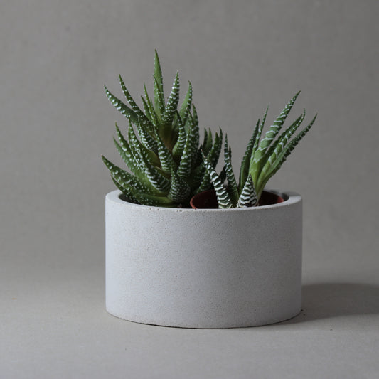 Le pot en béton COTTA, artisanat français